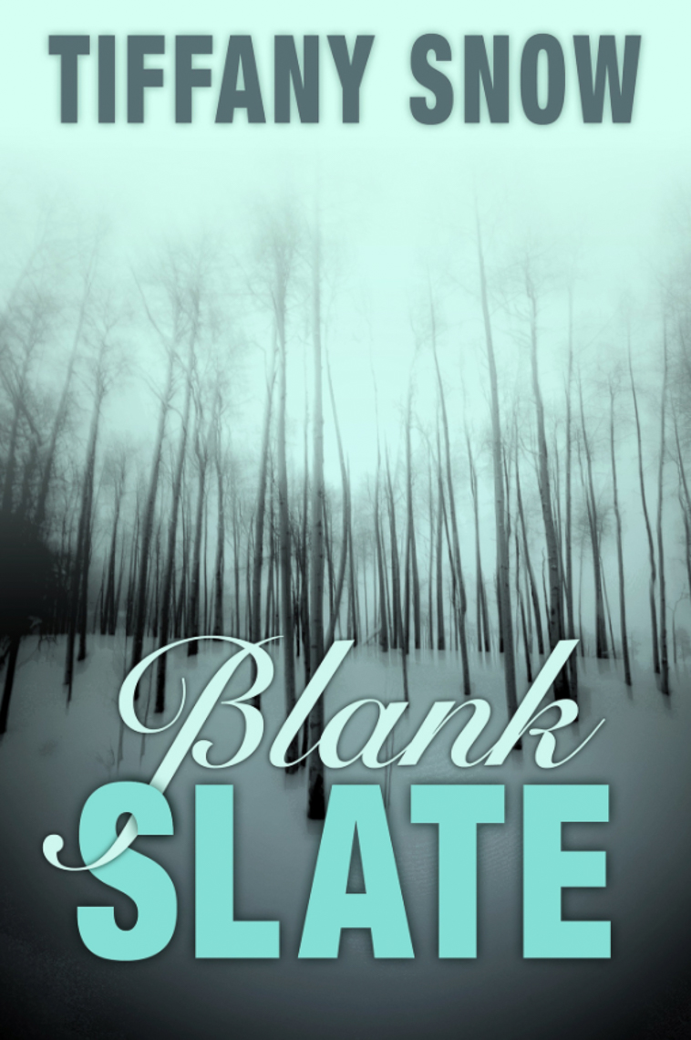 BlankSlatebookcover
